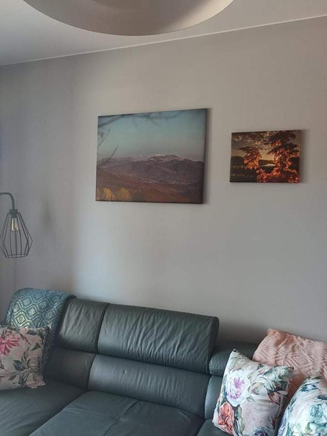 Lux Apartament Odkryj - Bieszczady Ustrzyki Dolne Dış mekan fotoğraf
